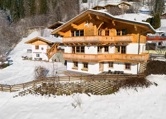 Alpensteinbock Saalbach C