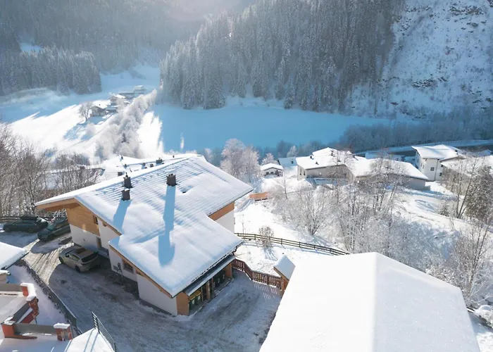 Alpensteinbock Saalbach C