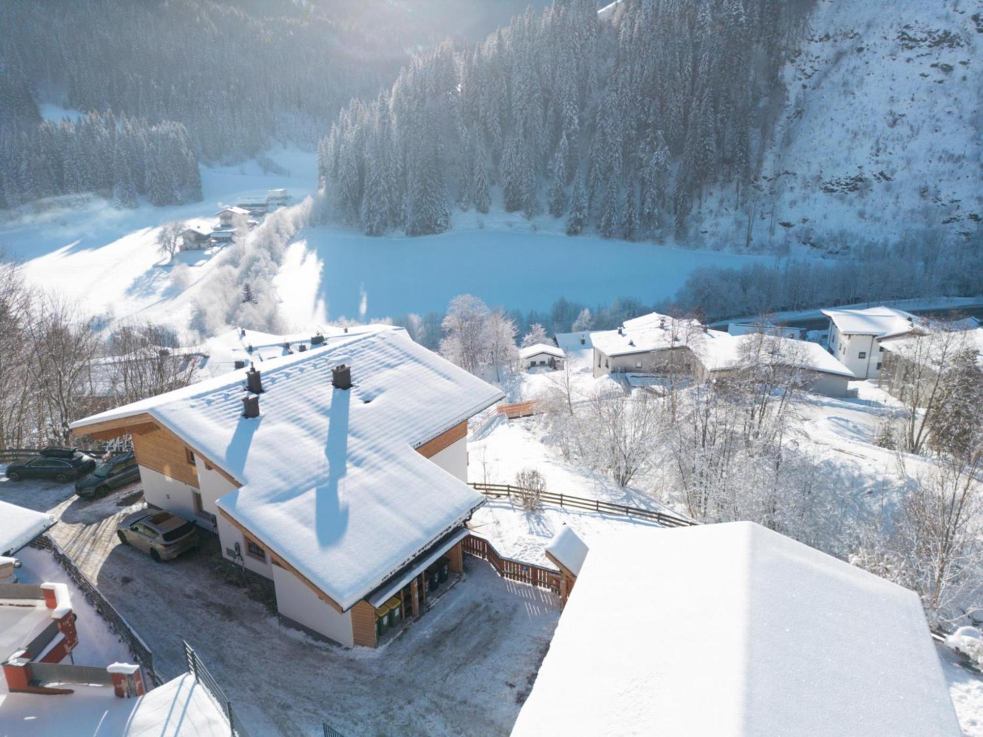 Alpensteinbock C Saalbach-Hinterglemm
