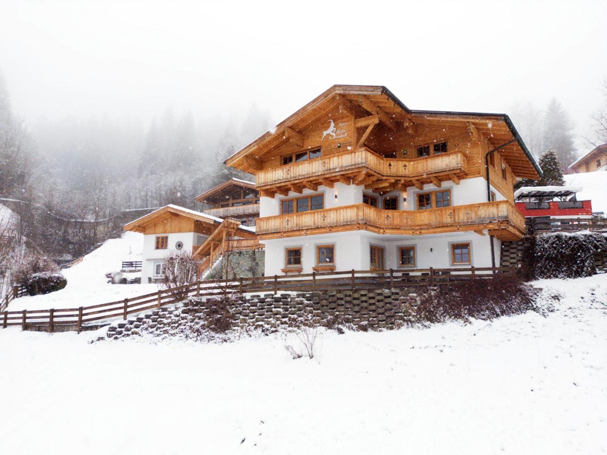 Apartment Alpensteinbock C