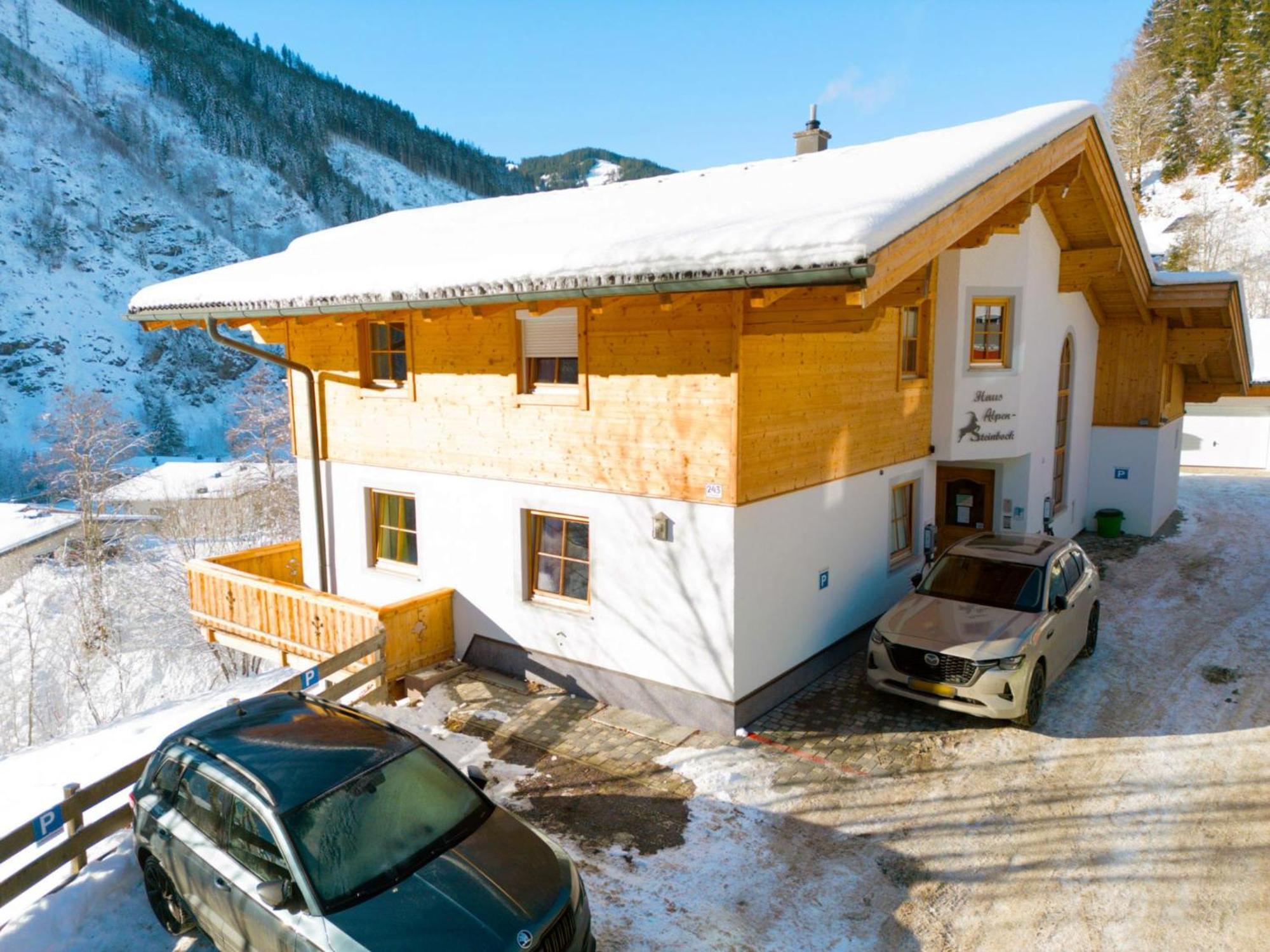 Apartment Alpensteinbock C *