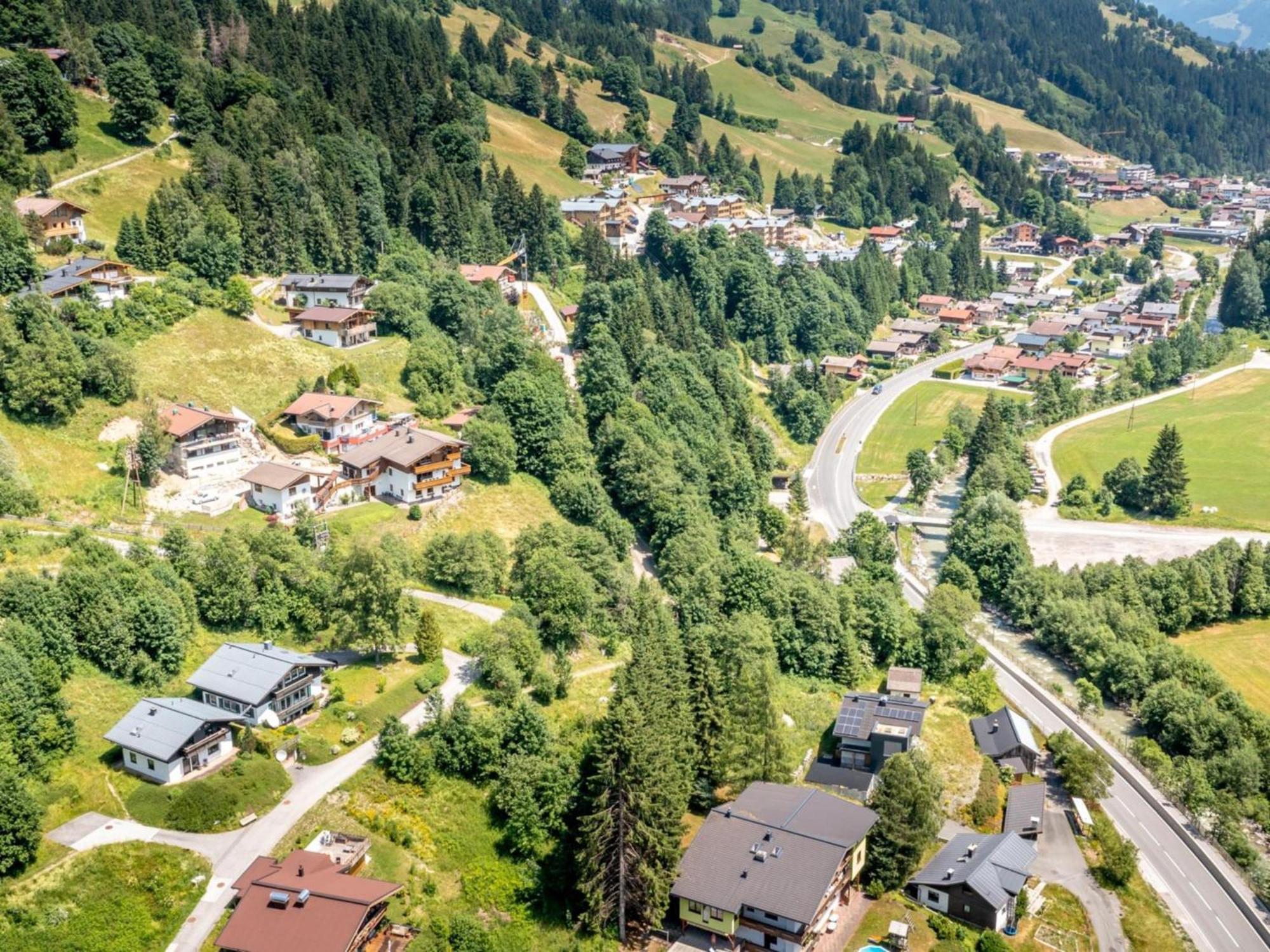 Alpensteinbock C Apartment Saalbach-Hinterglemm